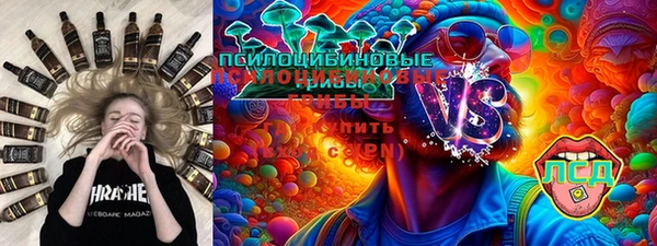 соль ск Арсеньев