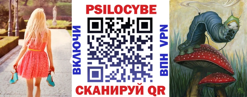 mega ТОР  Мураши  Галлюциногенные грибы Psilocybine cubensis 